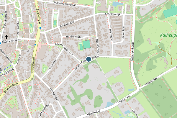 Politie-melding op Scholte Grevinkhoflaan, Oldenzaal op 27 juni, kaart-overzicht
