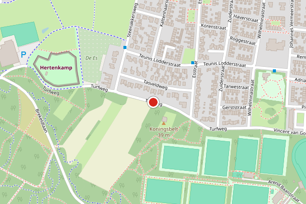 Brandweer-melding op Turfweg, Rijssen op 21 april, kaart-overzicht
