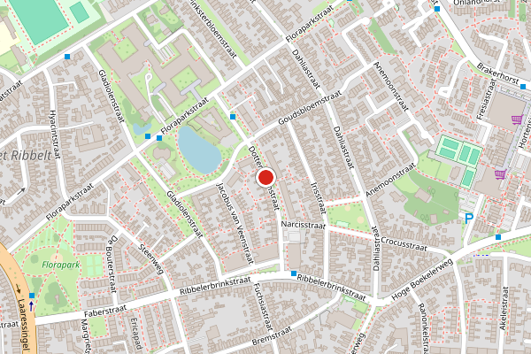 Brandweer-melding op Dotterbloemstraat, Enschede op 15 juli, kaart-overzicht