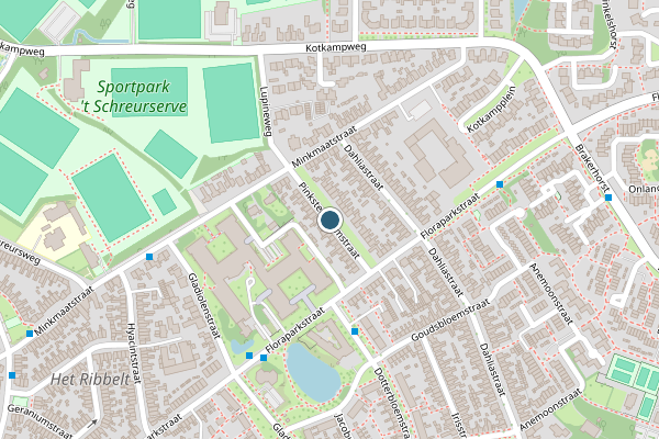 Politie-melding op Pinksterbloemstraat, Enschede op 26 juli, kaart-overzicht