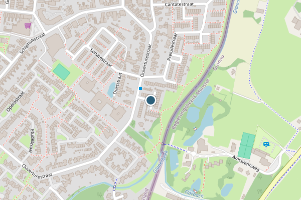 Politie-melding op Symfoniestraat, Enschede op 26 juli, kaart-overzicht