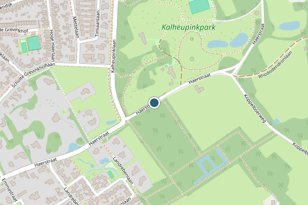 Politie-melding op Haerstraat, Oldenzaal op 1 juli, kaart-overzicht