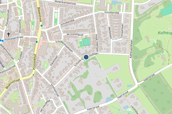 Politie-melding op Scholte Grevinkhoflaan, Oldenzaal op 27 juni, kaart-overzicht
