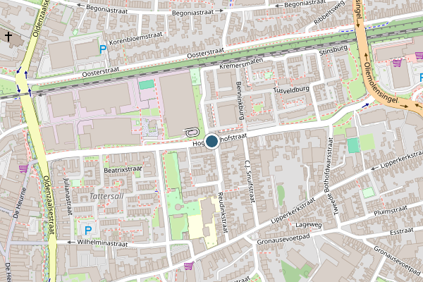 Politie-melding op Hoge Bothofstraat, Enschede op 4 augustus, kaart-overzicht