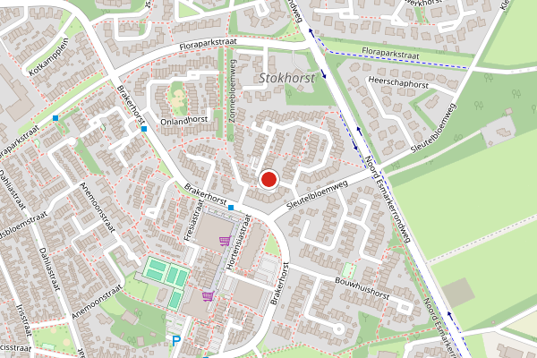Brandweer-melding op Sniedershorst, Enschede op 28 april, kaart-overzicht