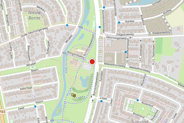 Brandweer-melding op Bongerdsweg, Borne op 30 april, kaart-overzicht