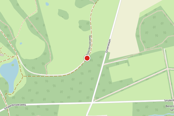 Brandweer-melding op Smalenbroeksweg, Enschede op 4 juni, kaart-overzicht