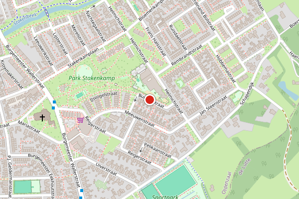 Brandweer-melding op Buizerdstraat, Oldenzaal op 18 juni, kaart-overzicht
