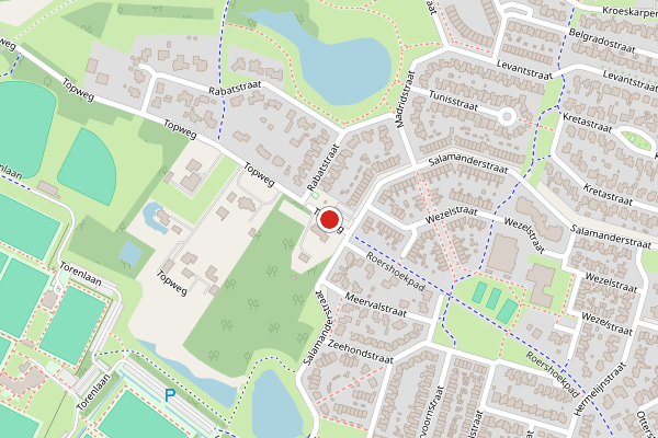 Brandweer-melding op Topweg, Hengelo op 20 juni, kaart-overzicht