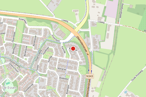 Brandweer-melding op Madelief, Oldenzaal op 5 april, kaart-overzicht